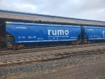 RUMO HTT-065552-0